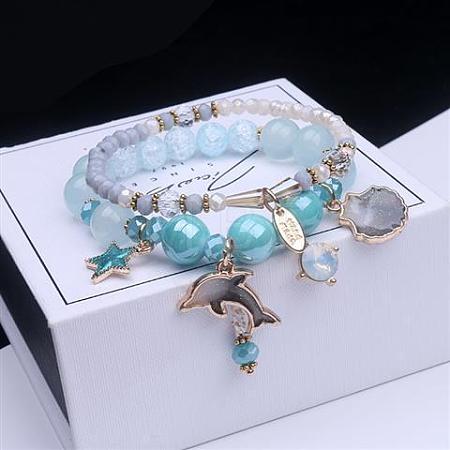 2Pcs 2 Styles Plastic & Glass Beaded Stretch Bracelets FS-WGE3E77-03-1