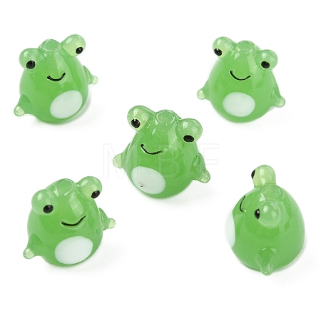 5Pcs Handmade Lampwork Beads LAMP-YW0001-42-1