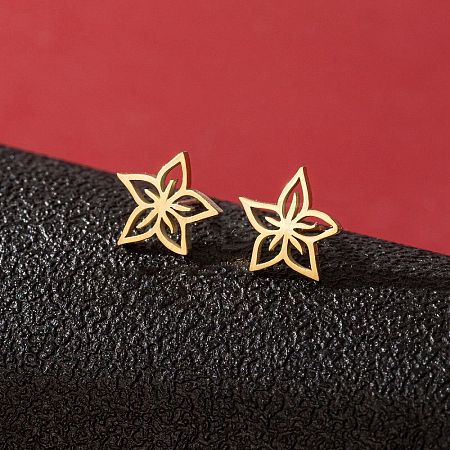 Stainless Steel Stud Earrings for Women PW-WGFE412-27-1