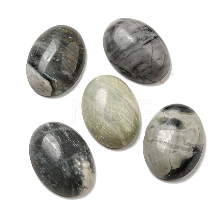 Natural Picasso Jasper Cabochons G-C115-01A-37-1