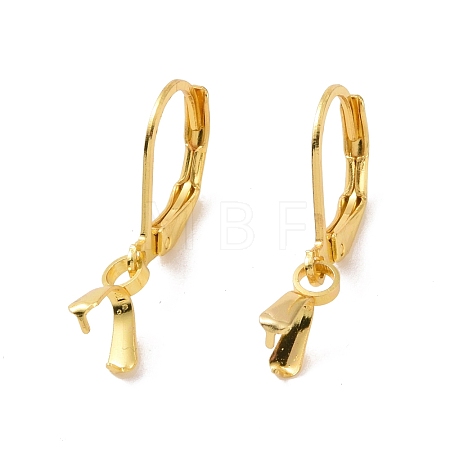 304 Stainless Steel Leverback Earring Findings LS-STAS-G283-01G-1