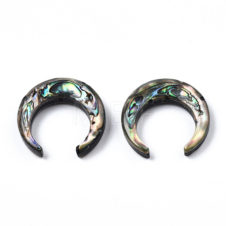 Natural Abalone Shell/Paua Shell Beads SSHEL-N034-122A-01-1