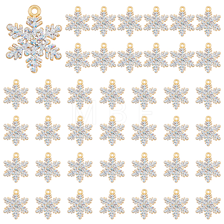 40Pcs Alloy Rhinestone Pendants ALRI-DC0001-06-1