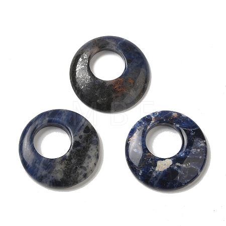 Natural Sodalite Pendants G-T122-76L-1