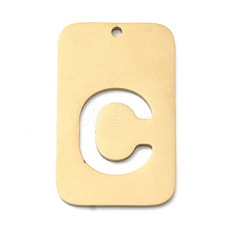 304 Stainless Steel Pendants STAS-D200-01C-G-1