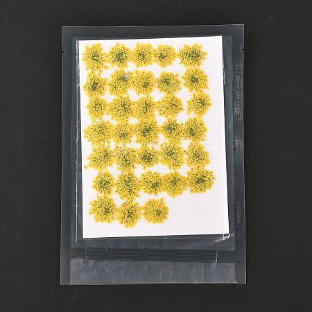 Pressed Dried Flowers DIY-K032-58L-1
