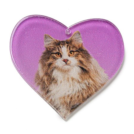 Acrylic Pendants FIND-Z012-01B-1