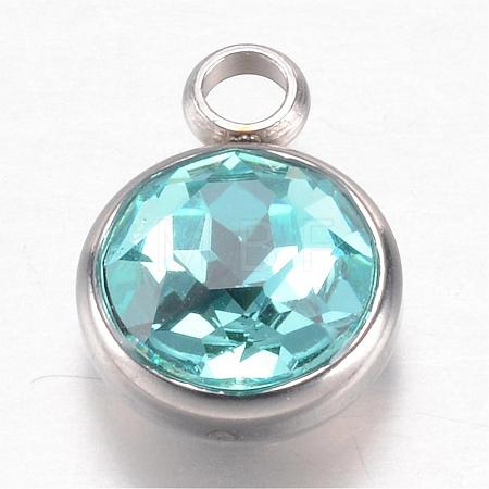 304 Stainless Steel Glass Rhinestone Charms STAS-G082-01-1