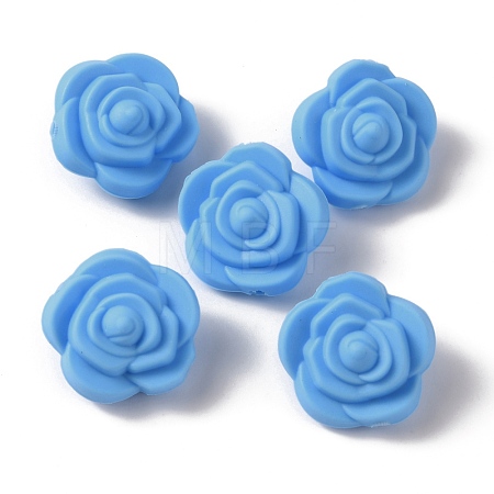 Food Grade Eco-Friendly Silicone Beads FIND-WH0125-43B-1