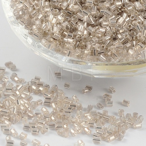 11/0 Two Cut Glass Seed Beads X-CSDB21-1