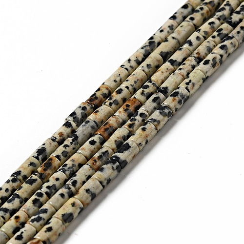 Natural Dalmatian Jasper Beads Strands G-I326-07-1