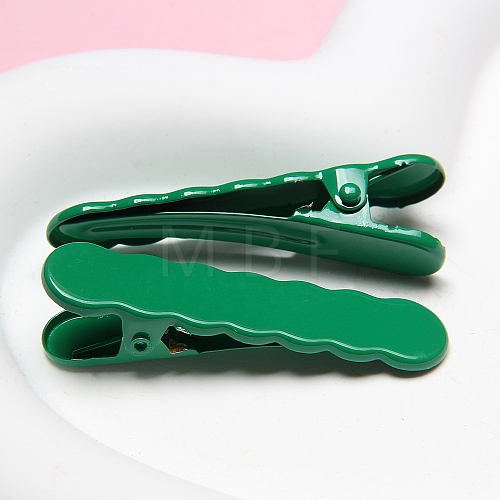 Resin Alligator Hair Clips PW-WG54BEF-09-1