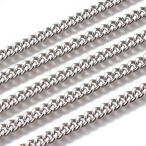 Handmade 304 Stainless Steel Curb Chains STAS-F229-06C-P-1