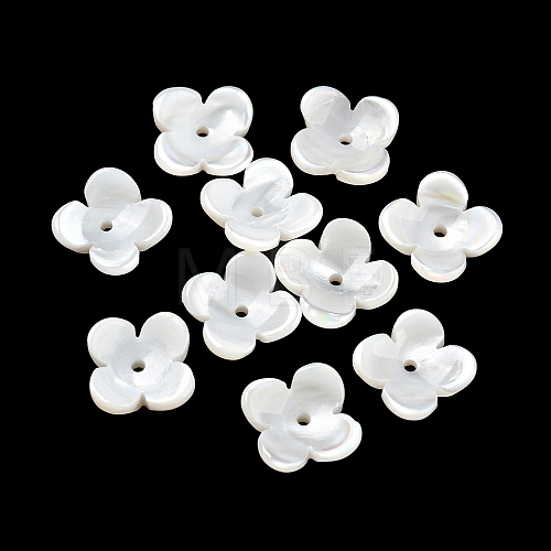 Natural Freshwater Shell Bead Caps BSHE-G034-16-1