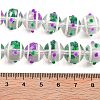 Glass with Enamel Beads Strands GLAA-M047-01D-4