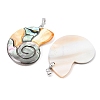 Natural Paua Shell & Black Lip Shell & Yellow Shell Pendants KK-C135-08A-2