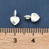 925 Sterling Silver Charms STER-H119-05C-S-3