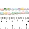 Rainbow Color Dyed Natural Freshwater Shell Beads Strands X1-SHEL-G018-02H-4