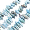 Natural Larimar Beads Strands G-G106-J04-01-1