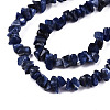 Natural Sodalite Beads Strands X-G-S364-080-3