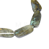 Natural Labradorite Beads Strands G-F632-01-2