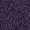 MIYUKI Round Rocailles Beads X-SEED-G007-RR0157-3