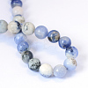 Natural Sodalite Round Bead Strands G-E334-4mm-08-5