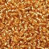 TOHO 8/0 Round Beads SEED-TR08-0022B-2