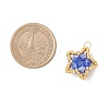 Glass Seed Beaded Star Pendants PALLOY-MZ01083-02-3