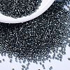 MIYUKI Delica Beads SEED-MY11-DB2166-1