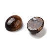 Natural Tiger Eye Cabochons G-G145-01A-29-2