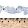 Raw Rough Natural Quartz Crystal Beads Strands G-Z131-J01-03-5