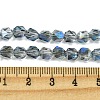 Electroplate Glass Beads Strands EGLA-K061-07A-HR03-4