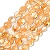 Natural Citrine Beads Strands G-L608-A09-02-1