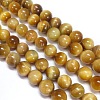 Natural Tiger Eye Beads Strands G-G544-10mm-01-1