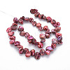 Natural Keshi Pearl Beads Strands PEAR-S021-030-3
