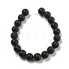 Dyed & Heated Natural Black Agate Beads Strands G-P088-14-10mm-5