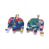 Resin Pendants KK-G361-01G-2