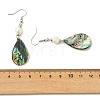 Natural Abalone Shell/Paua Shell Dangle Earrings EJEW-JE07434-02-5