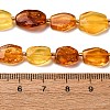 Gradient Color Natural Amber Beads Strands G-F803-E01-01-6