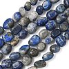 Natural Lapis Lazuli Beads Strands G-C286-A06-2