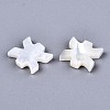 Natural White Shell Beads SSHEL-ZX004-02E-2