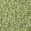MIYUKI Round Rocailles Beads SEED-G007-RR0378-3