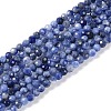 Natural Sodalite Beads Strands G-G139-A07-02-1