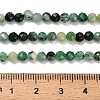 Natural Emerald Beads Strands G-Z106-A02-4mm-5