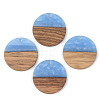 Resin & Walnut Wood Pendants RESI-S389-025A-2