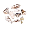Electroplate Natural Spiral Shell Pendants SSHEL-Q100-31-02KCG-1