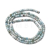 Natural Larimar Beads Strands G-F803-C01-01-3