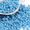 Baking Paint Glass Seed Beads SEED-A032-02G-1