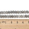 Faceted Round Natural Labradorite Bead Strands LS-G-I156-03-4mm-6